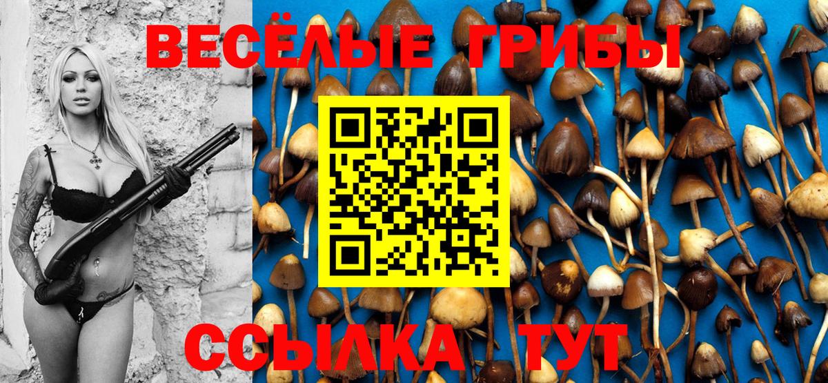 Галлюциногенные грибы Magic Shrooms Белогорск